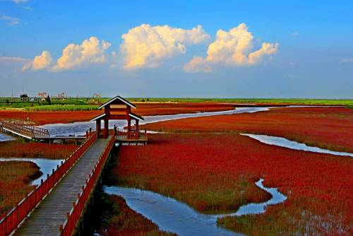 Panjin Red Beach